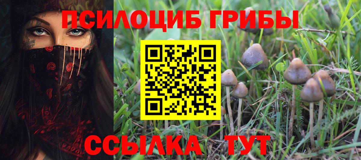Псилоцибиновые грибы Psilocybine cubensis  Вход с VPN  Кострома 